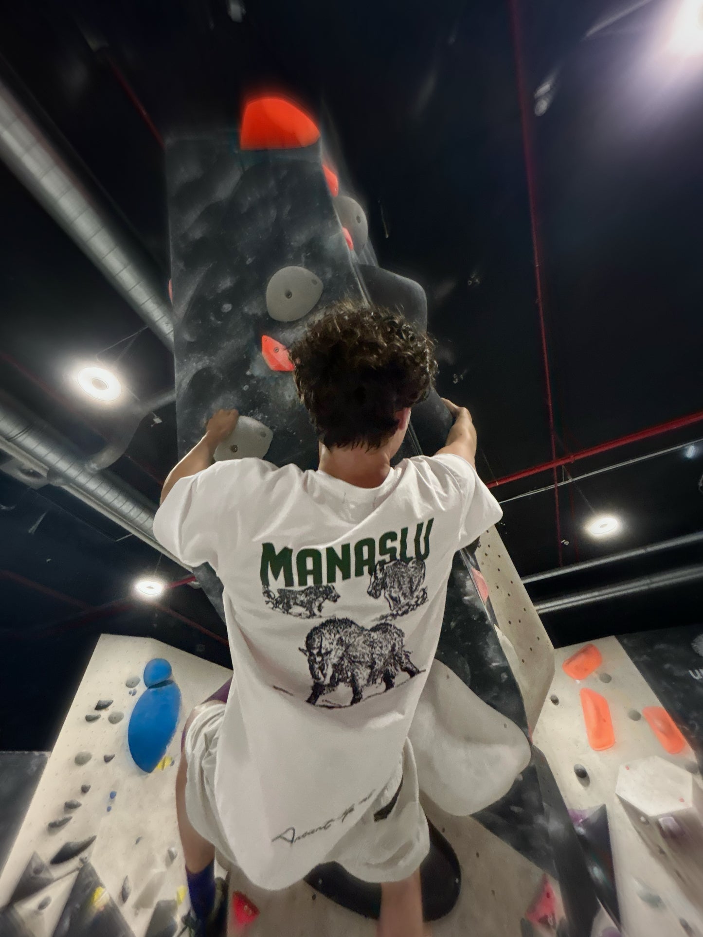 Goat-shirt