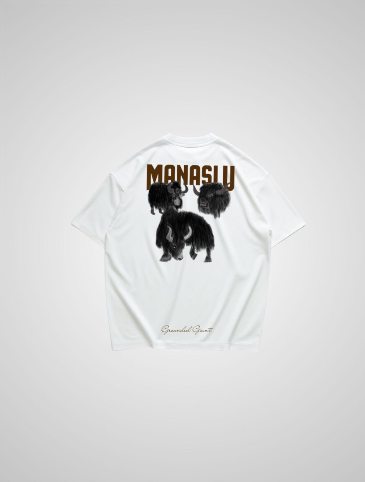 Q-RI Shirt