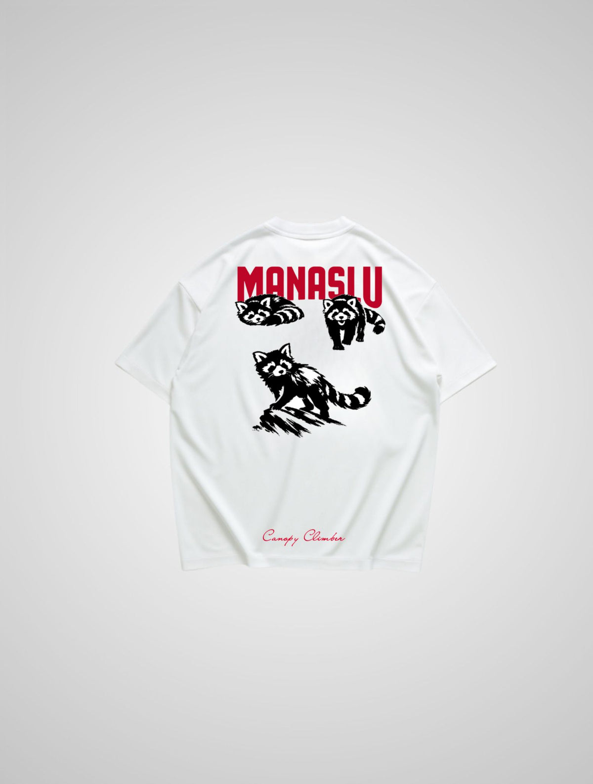 Q-RI Shirt
