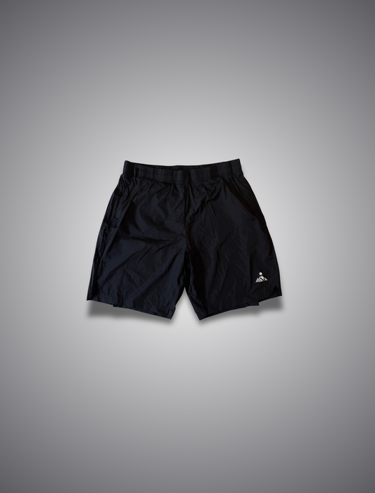 TechSilk 2 in 1 Shorts