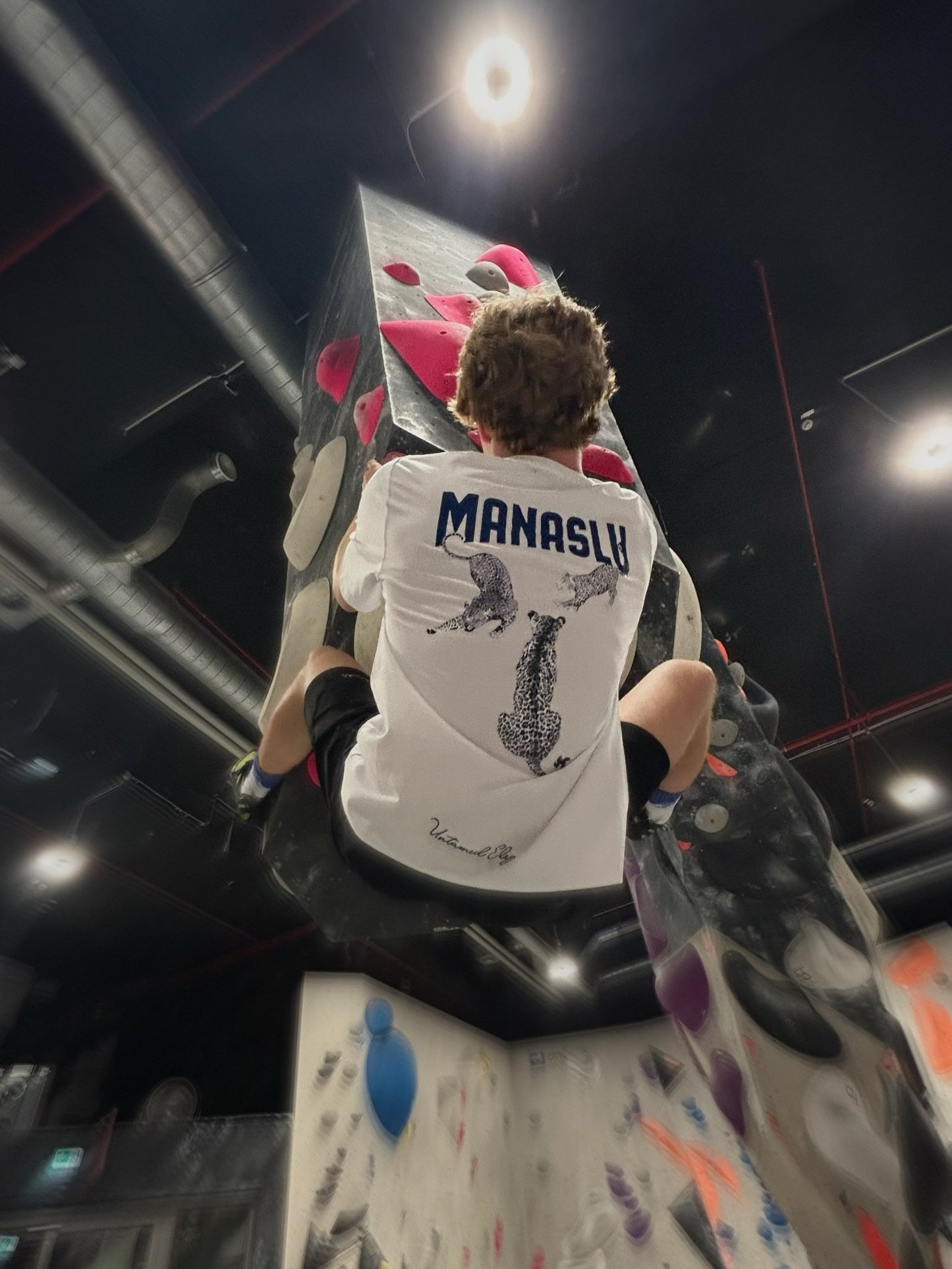 Snow Leopard - Shirt - Manaslu ClothingS