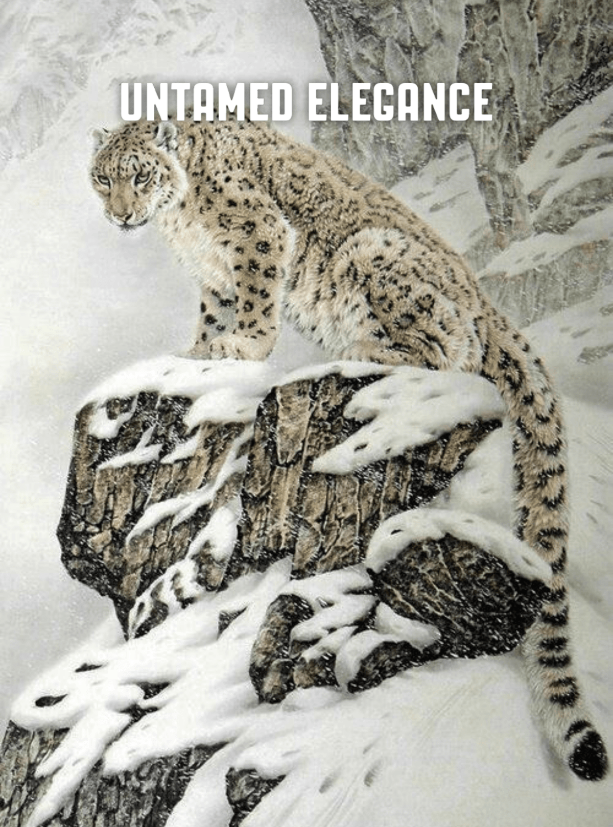 Snow Leopard - Shirt - Manaslu ClothingS